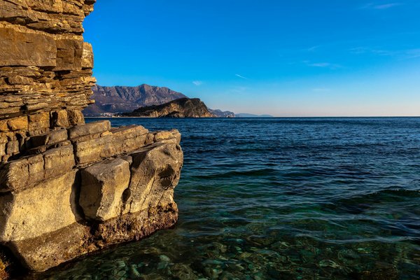 Hunde 24